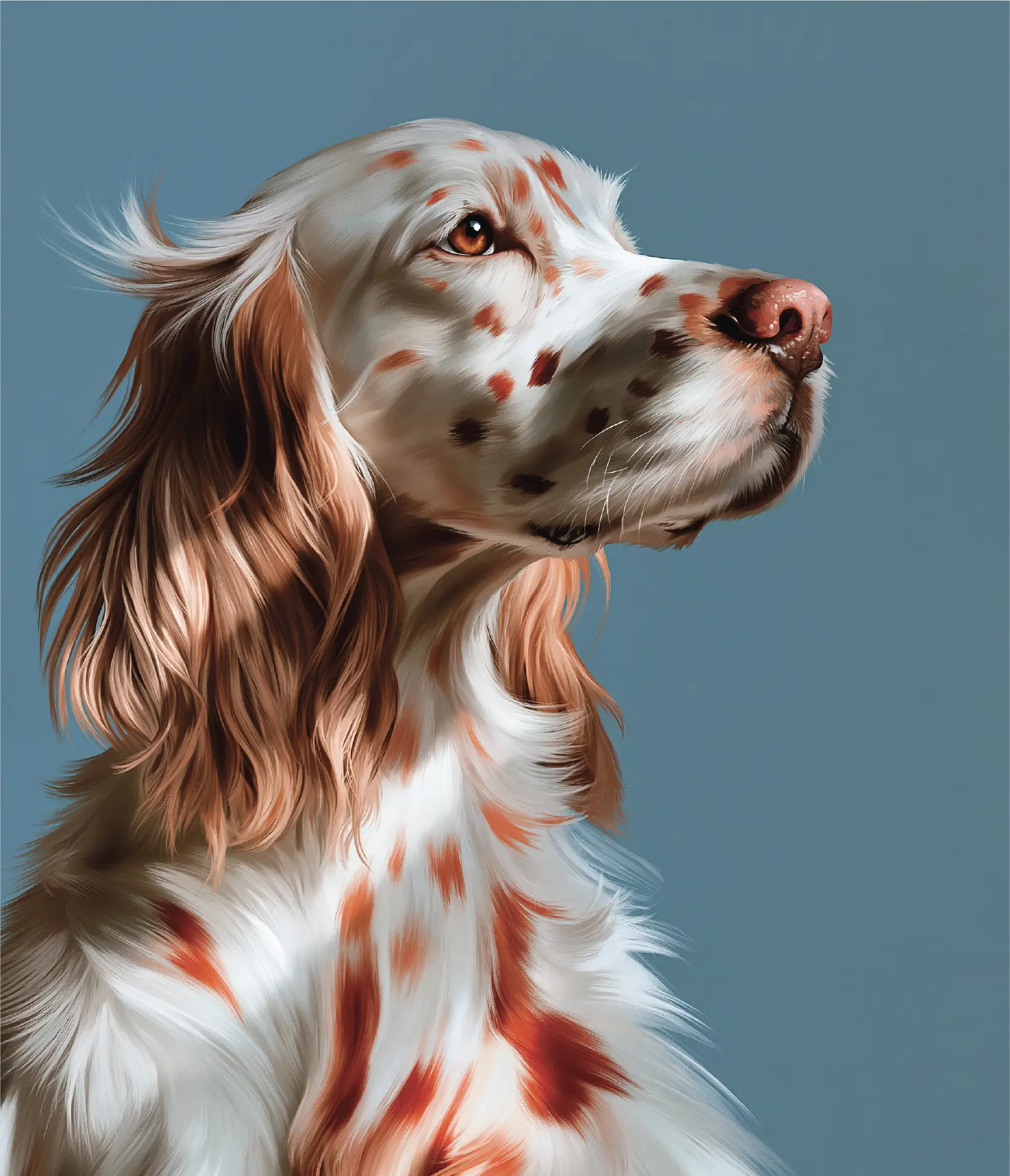 Setter shown in profile in the Le Profil style