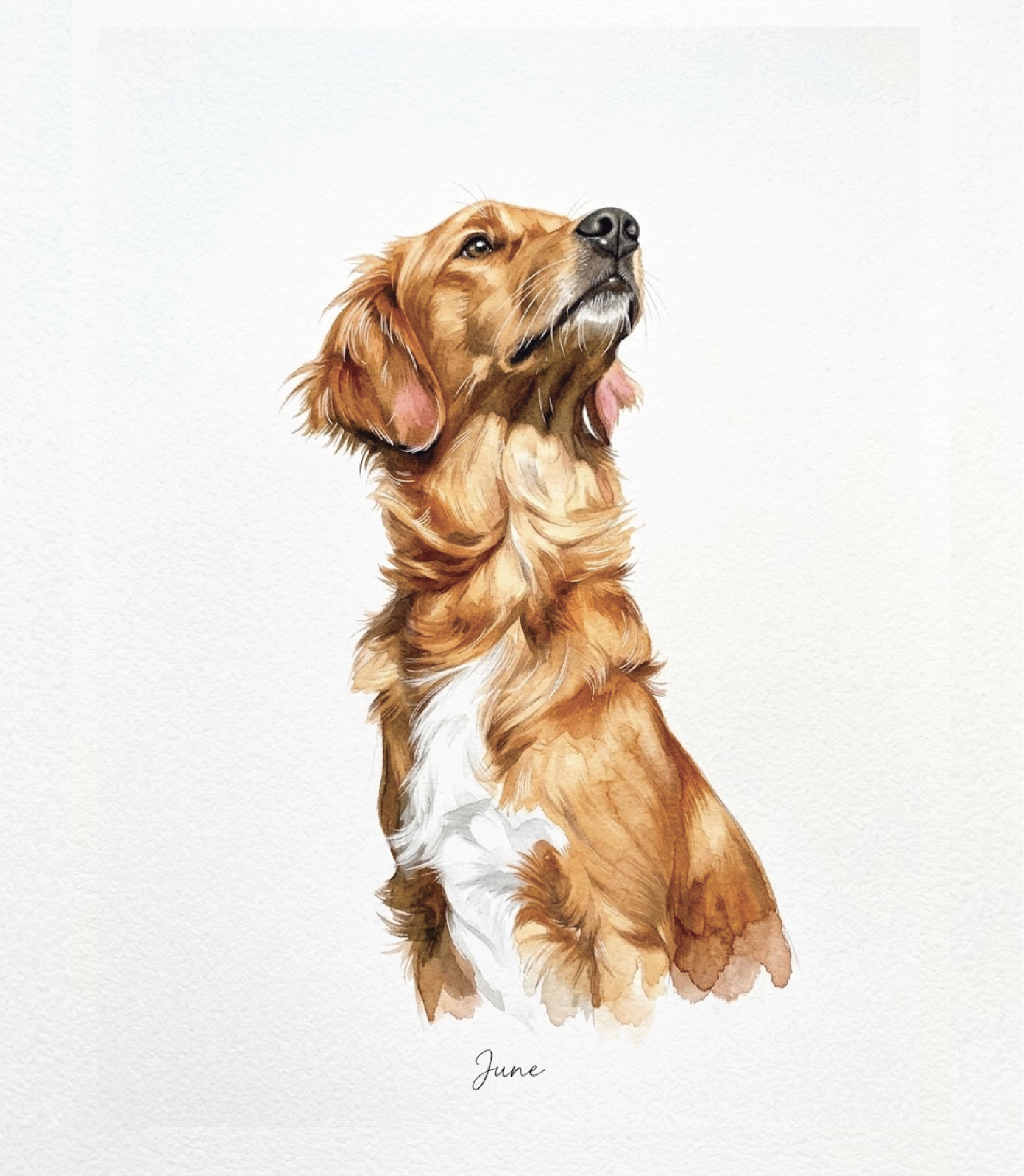 Loose watercolour study of June