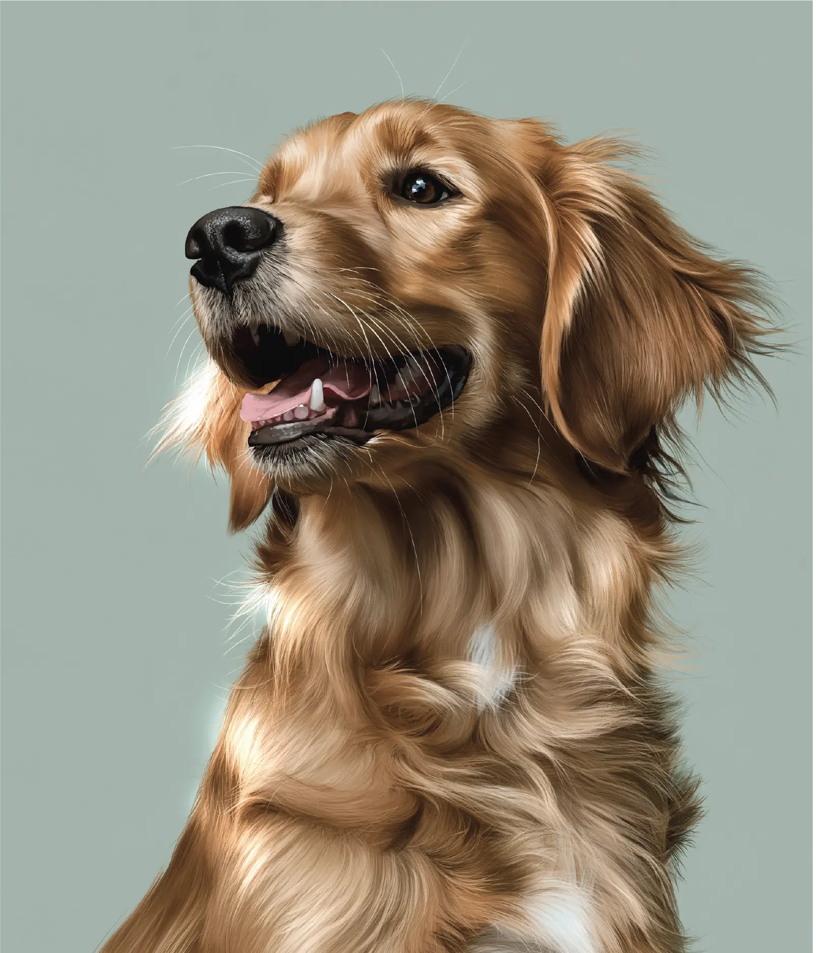 Le Sourire portrait of a smiling golden dog on sage
